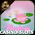 bet Turbo - Casino & Slots